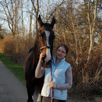 1. Beisitzer
